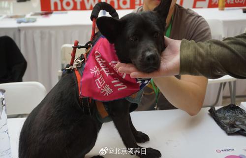李铁心的人际关系之所以如此和谐源于他对他人的真诚关怀1 揭秘推哥Push婚礼背后的故事他总是耐心倾听